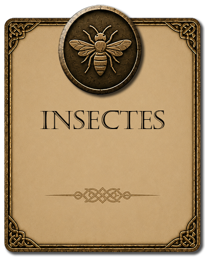 Insectes