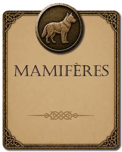Mamifères