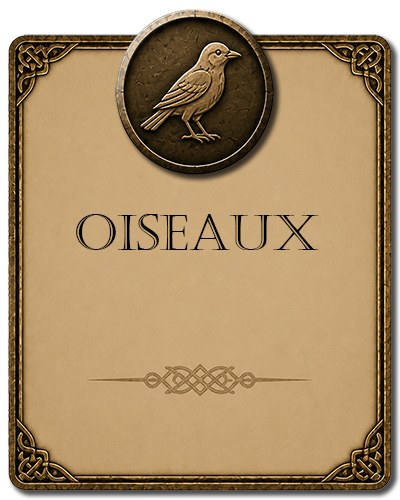 Oiseaux